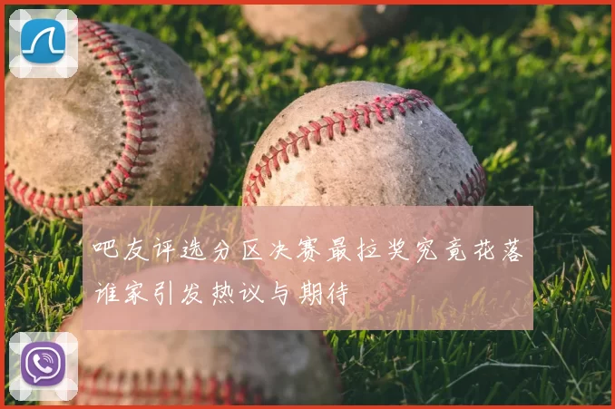 吧友评选分区决赛最拉奖究竟花落谁家引发热议与期待