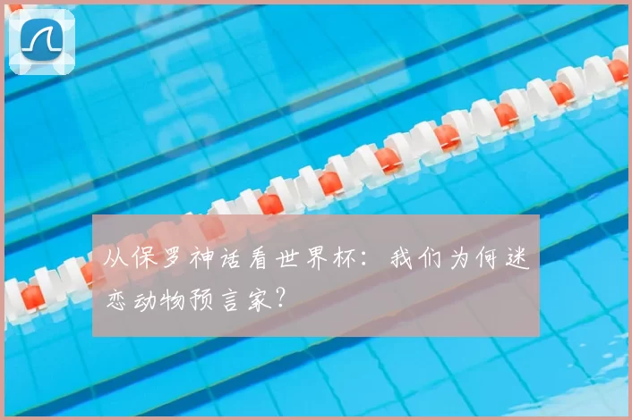 从保罗神话看世界杯:我们为何迷恋动物预言家?