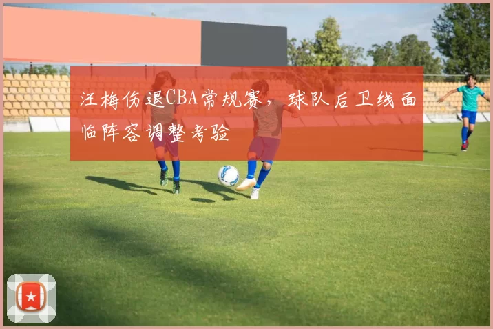 汪梅伤退CBA常规赛,球队后卫线面临阵容调整考验