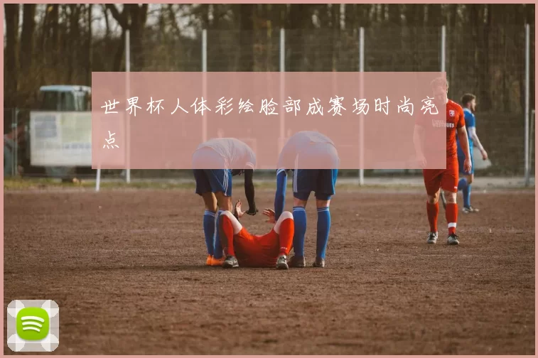 世界杯人体彩绘脸部成赛场时尚亮点