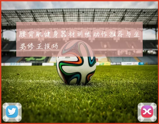 腰背肌健身器材训练动作推荐与坐姿修正技巧