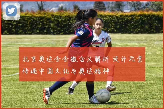 北京奥运会会徽含义解析 设计元素传递中国文化与奥运精神