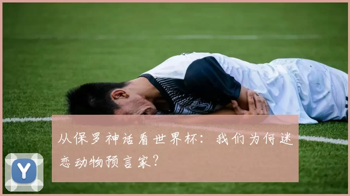 从保罗神话看世界杯：我们为何迷恋动物预言家？