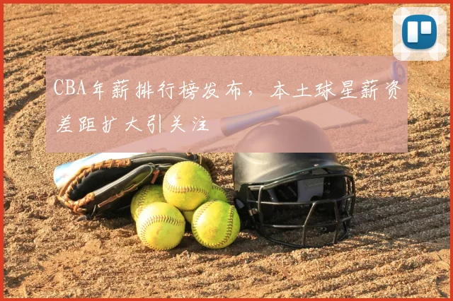CBA年薪排行榜发布,本土球星薪资差距扩大引关注
