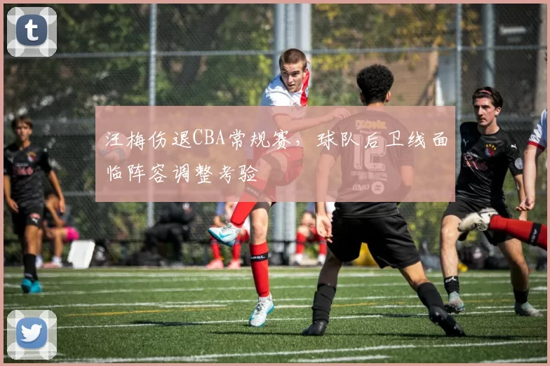 汪梅伤退CBA常规赛，球队后卫线面临阵容调整考验