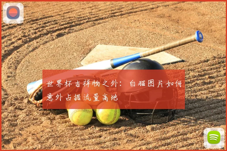 世界杯吉祥物之外：白猫图片如何意外占据流量高地