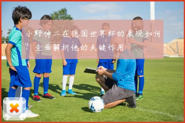 小野伸二在德国世界杯的表现如何?全面解析他的关键作用