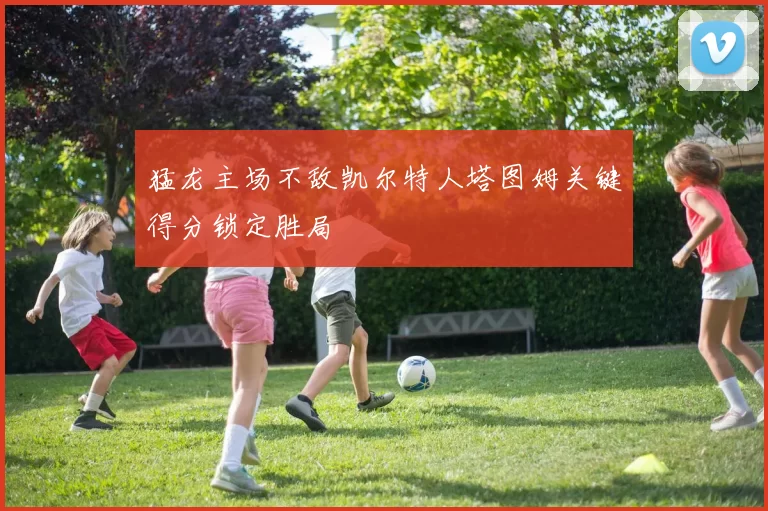猛龙主场不敌凯尔特人塔图姆关键得分锁定胜局