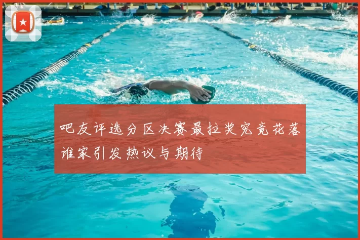 吧友评选分区决赛最拉奖究竟花落谁家引发热议与期待