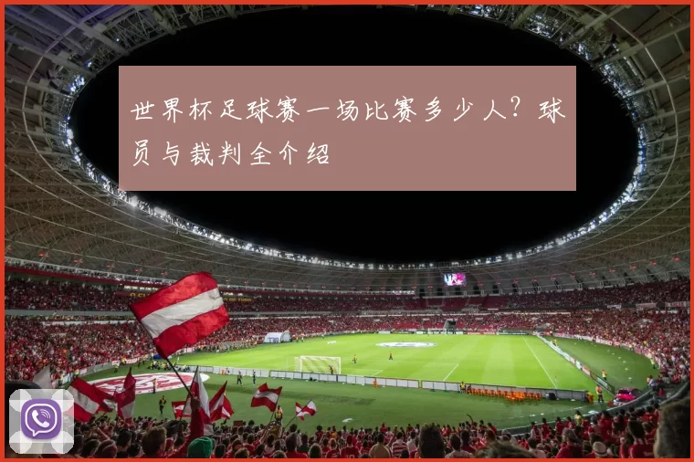 世界杯足球赛一场比赛多少人？球员与裁判全介绍